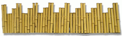 Bamboo Garden Fence